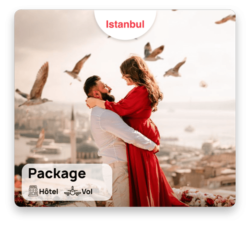Voyage à Istanbul